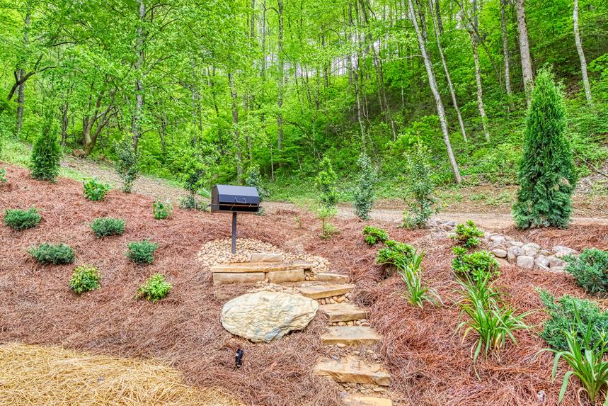 Copper Fox Den